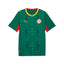 Puma Senegal Away Soccer Jersey