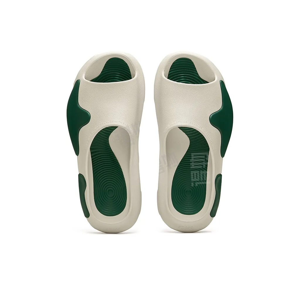 EQLZ EQUALIZER Slides 0050 ‘Ivy’