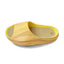 Anta Slipper 'Golden Chrysanthemum Yellow'