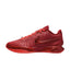 Nike LeBron 21 'James Gang'