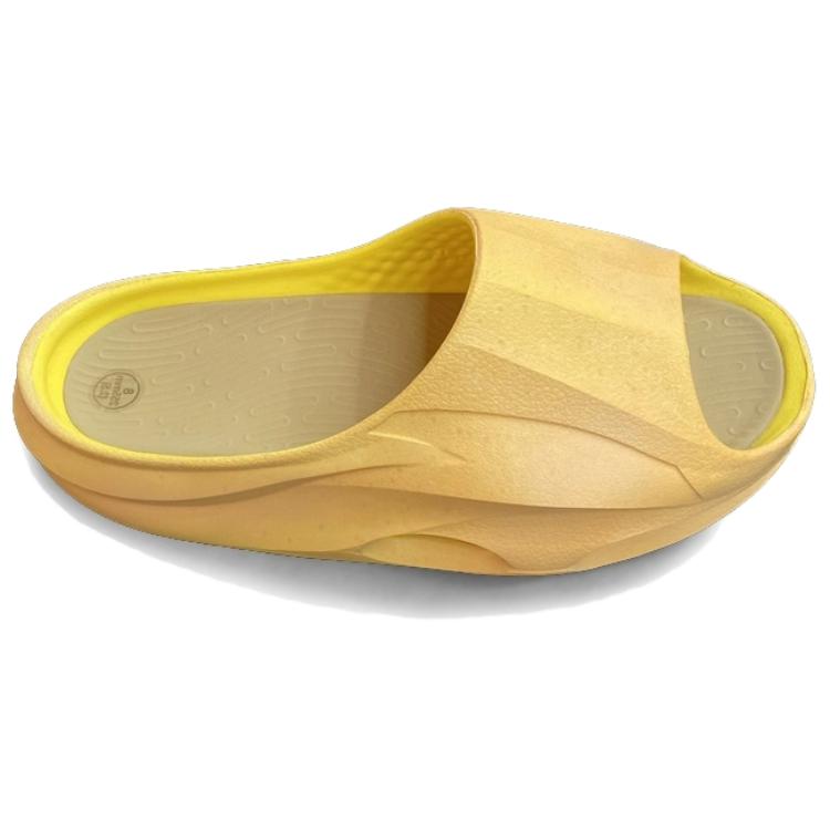 Anta Slipper 'Golden Chrysanthemum Yellow'