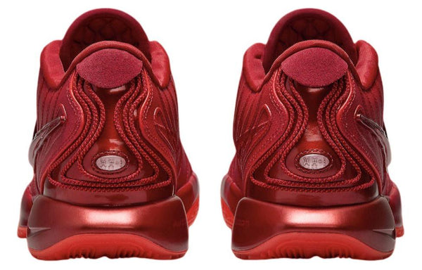 Nike LeBron 21 'James Gang'