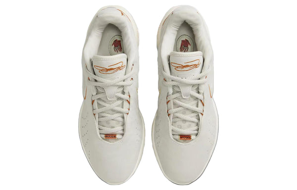 Nike LeBron 21 EP 'Akoya'