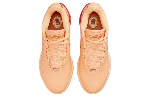 Nike Lebron 21 Ep 'Melo Tint'